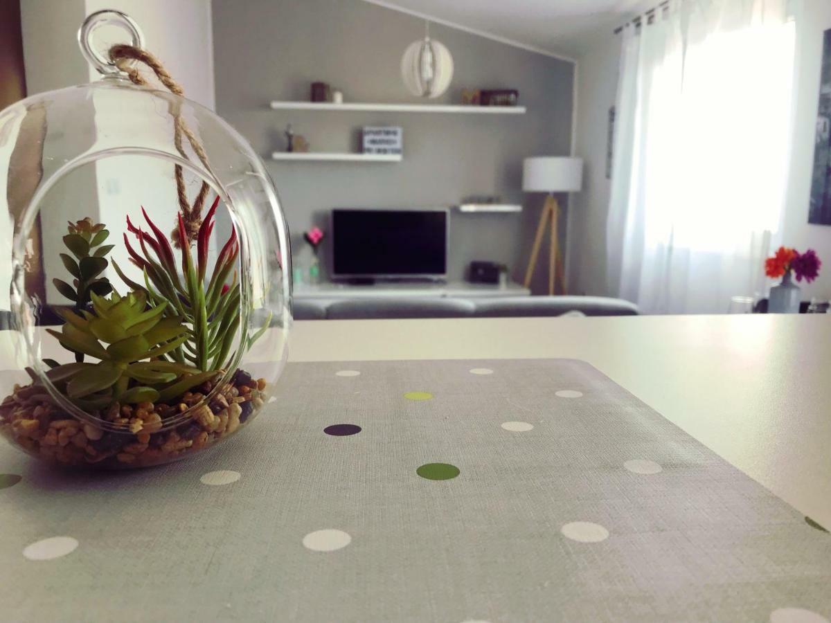 Apartman Marko Primošten المظهر الخارجي الصورة